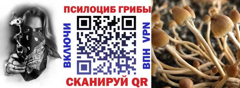 маркетплейс официальный сайт  сколько стоит  Мытищи  Галлюциногенные грибы мицелий 