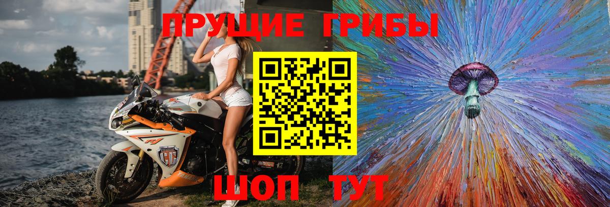 Мытищи  Галлюциногенные грибы прущие грибы  Вход с VPN 