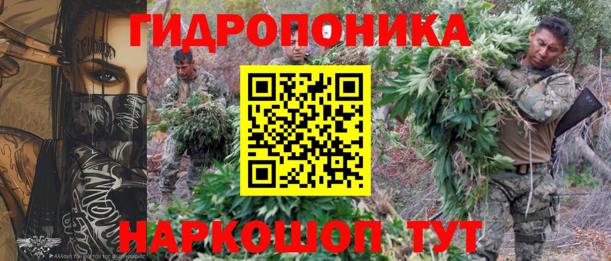 Бошки марихуана VHQ Мытищи